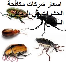 اسعار شركات مكافحة الحشرات في الرياض